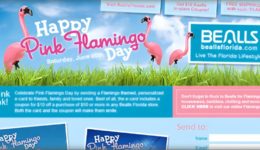 Marketing images featuring flamingos on a sunny Florida day, for Bealls